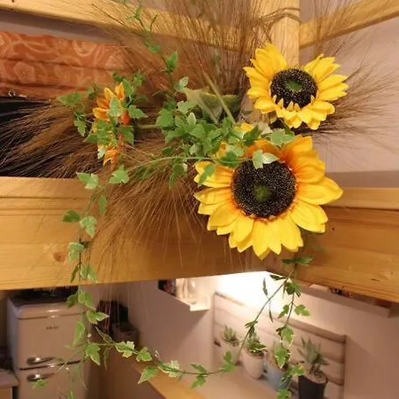 דירה 4 Posti Letto Vicino Pala Alpitour!