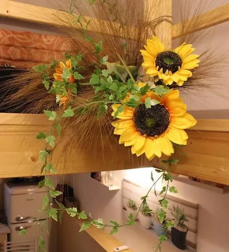 Apartman 4 Posti Letto Vicino Pala Alpitour!